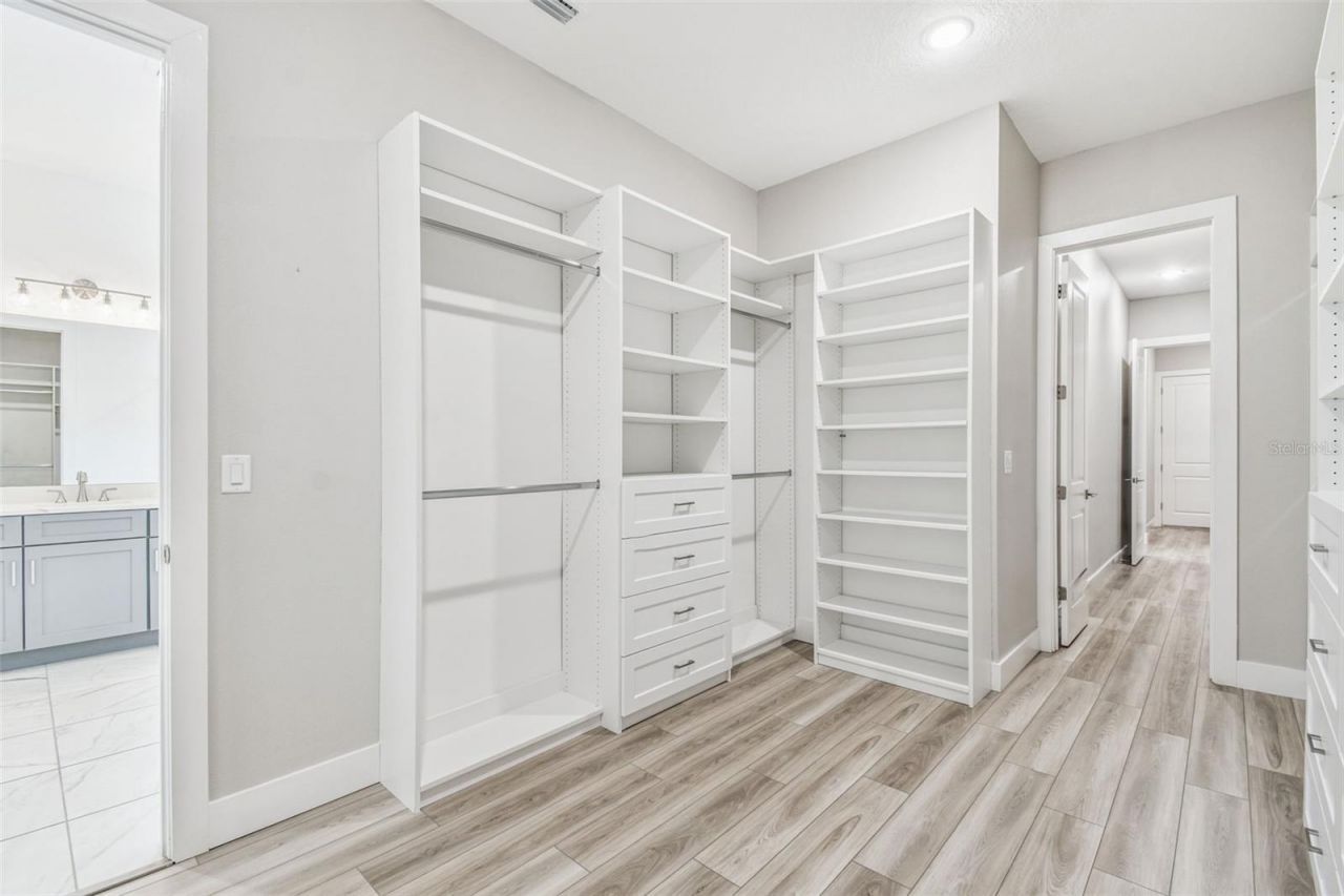 8936 Sanders Tree Loop, Wesley Chapel, FL 33545 Photo