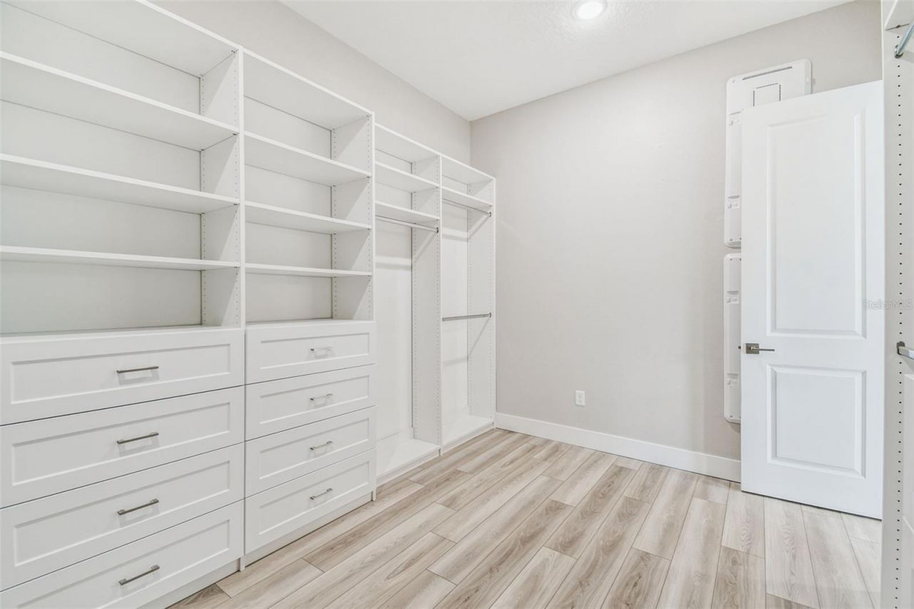 8936 Sanders Tree Loop, Wesley Chapel, FL 33545 Photo