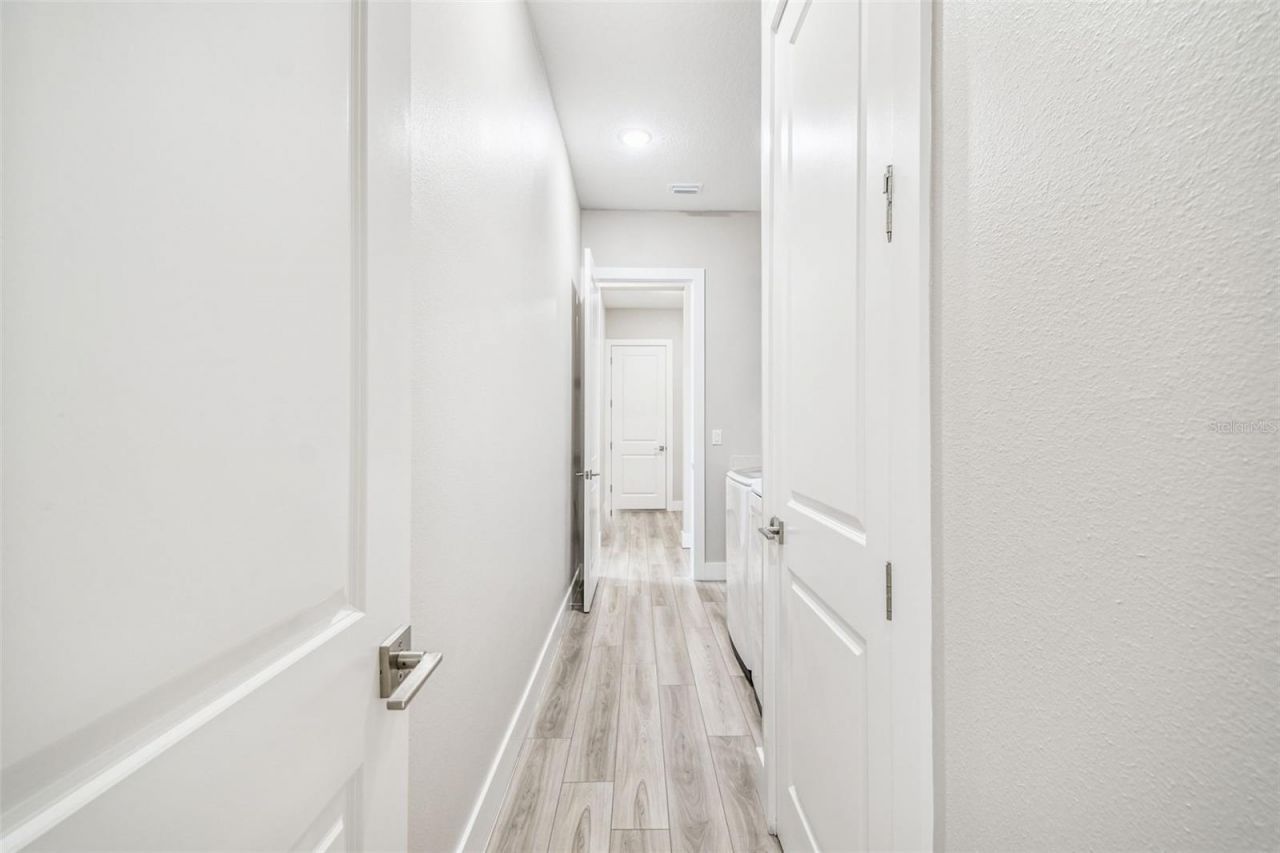 8936 Sanders Tree Loop, Wesley Chapel, FL 33545 Photo