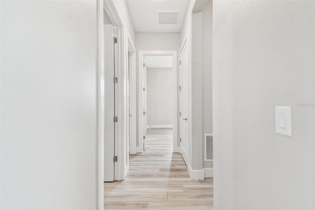 8936 Sanders Tree Loop, Wesley Chapel, FL 33545 Photo