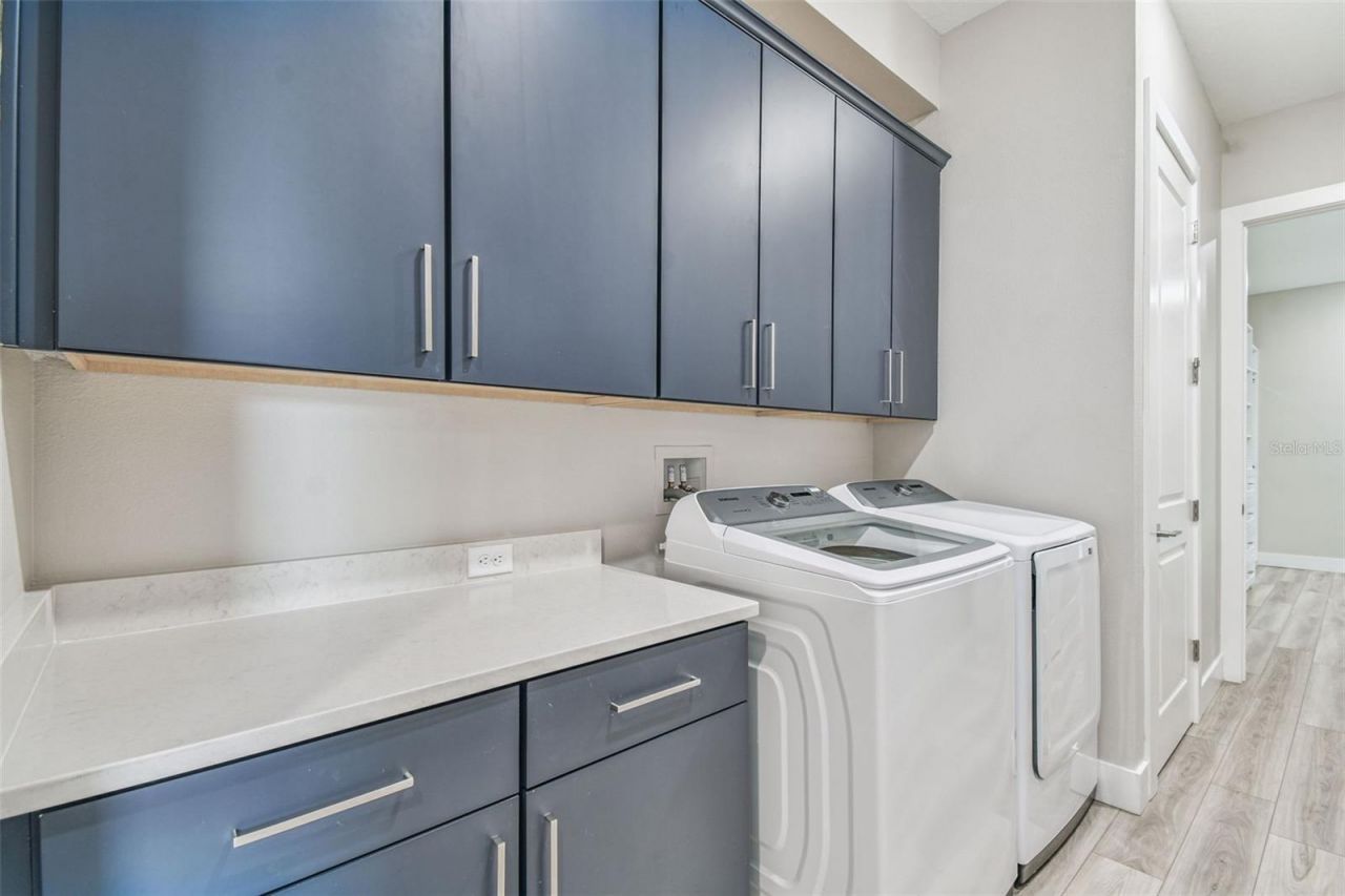 8936 Sanders Tree Loop, Wesley Chapel, FL 33545 Photo