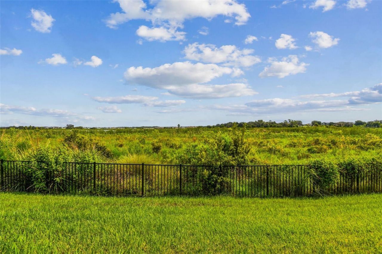 8936 Sanders Tree Loop, Wesley Chapel, FL 33545 Photo