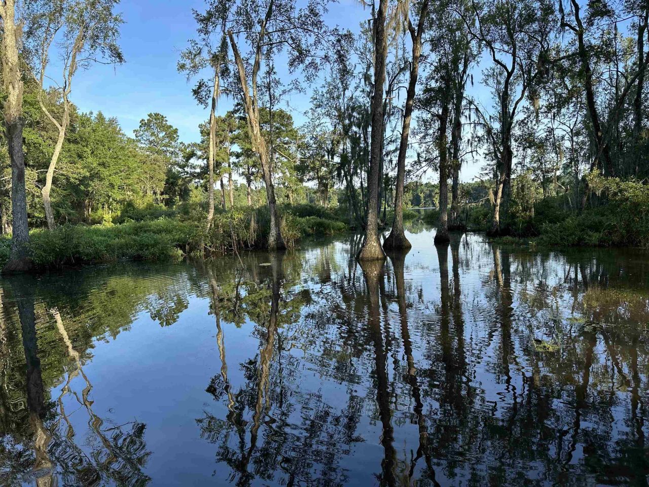 5000 Velda Dairy Road, Tallahassee, FL 32309 Photo