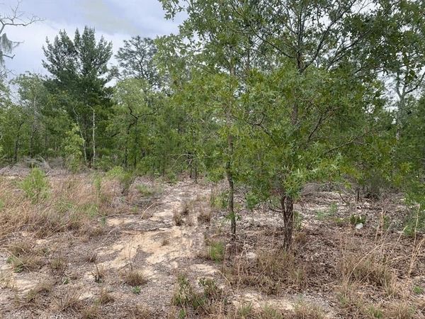 0 Gray St, Interlachen, FL 32148