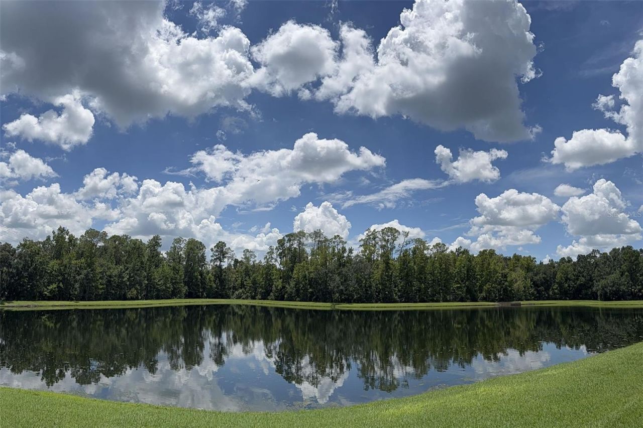 102 Acadia Terrace, Celebration, FL 34747 Photo