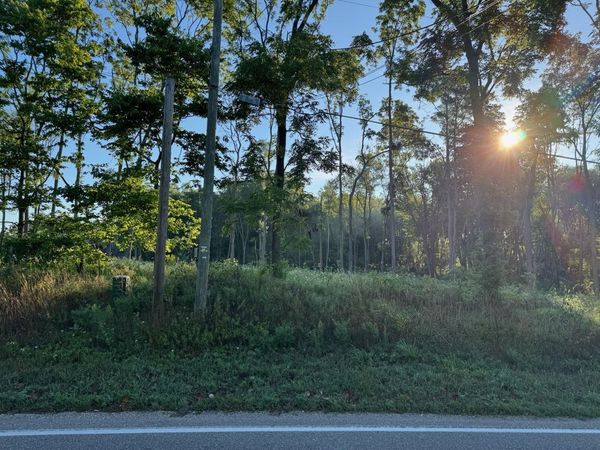Tract 4 Dailey Rd, Edwardsburg, MI 49112