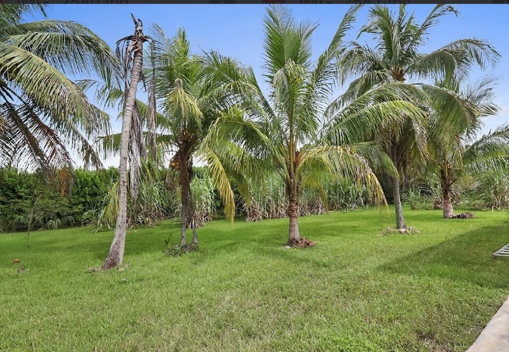 12480 Orange Boulevard, The Acreage, FL 33412 Photo
