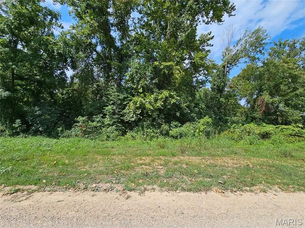 Lot 1 & 2 Ext Deer Run Plat 5, Van Buren, MO 63965