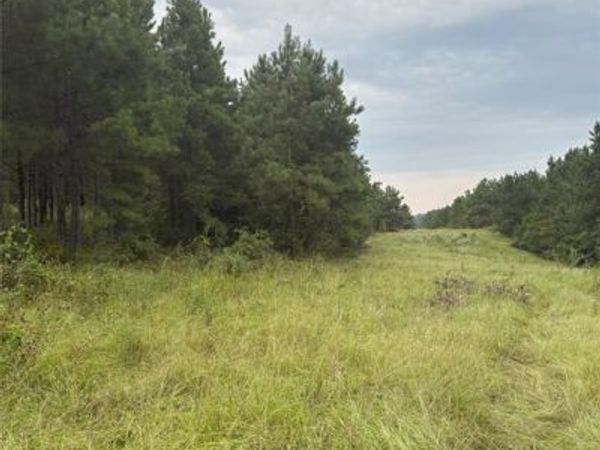 1388 County Road 1060, Center, TX 75935