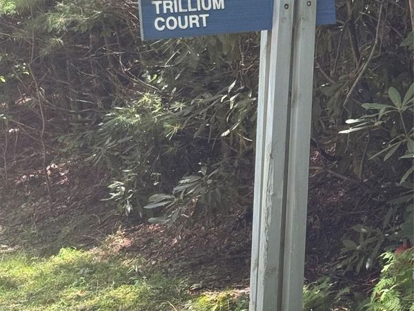 000 Trillium Court , Sapphire, NC 28774