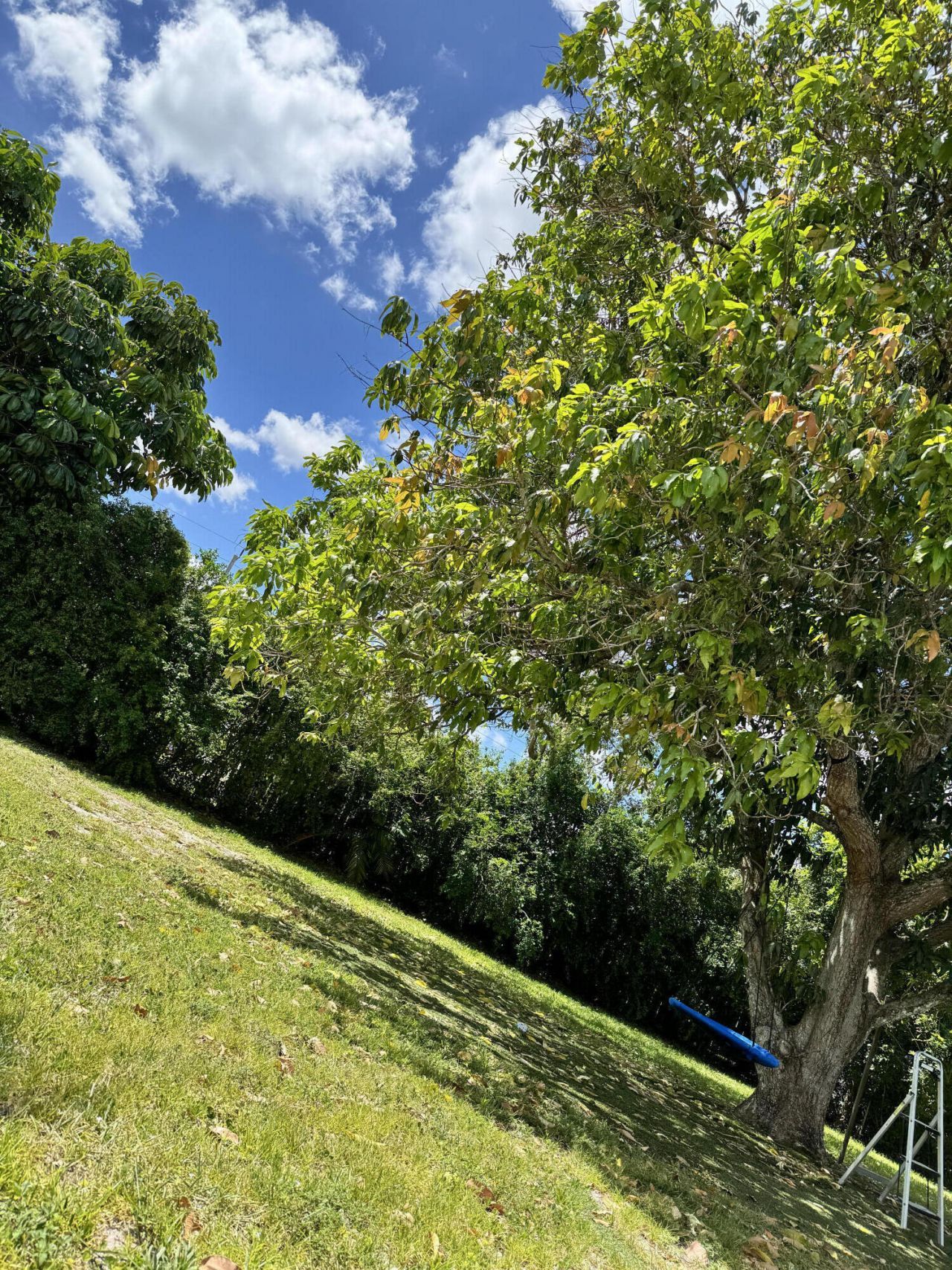 4320 NW 107th Avenue, Coral Springs, FL 33065 Photo