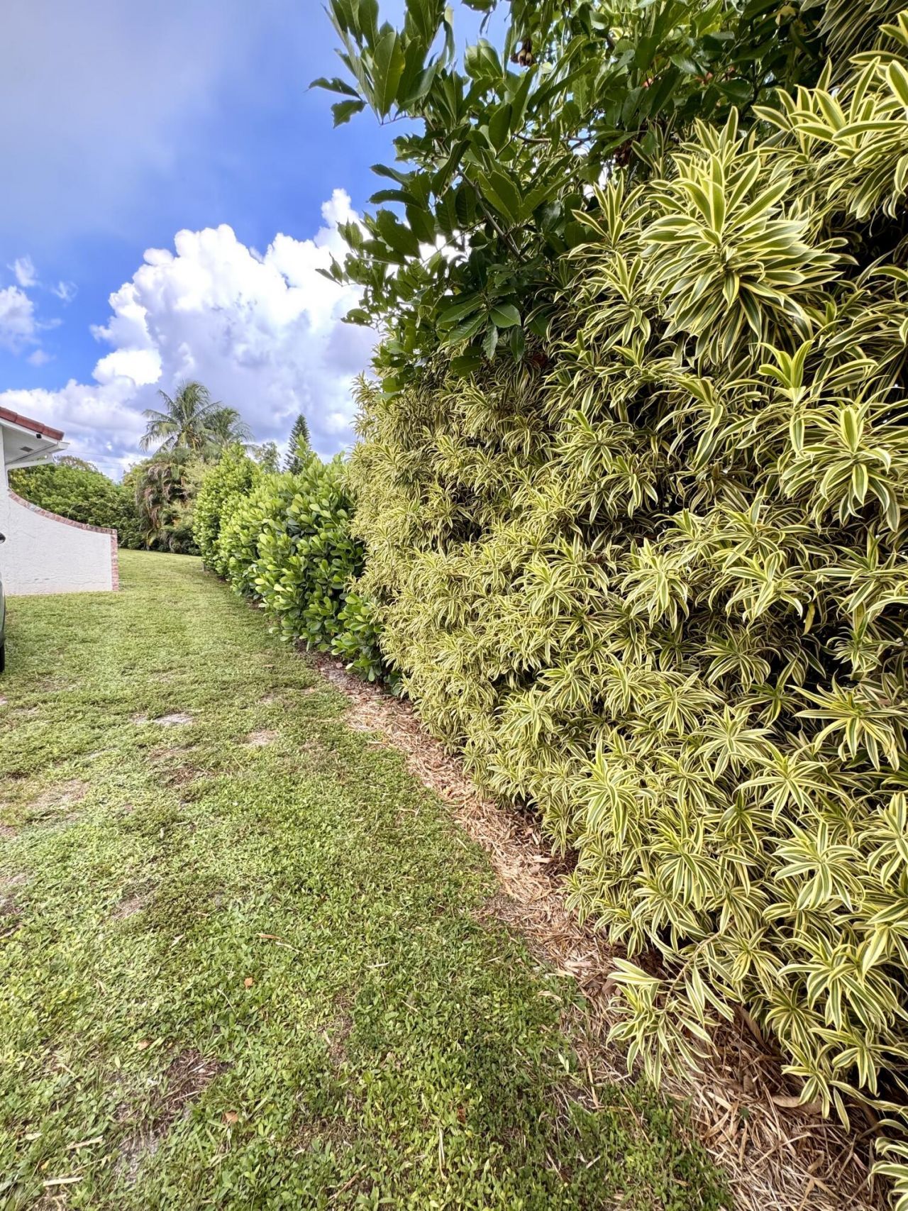 4320 NW 107th Avenue, Coral Springs, FL 33065 Photo