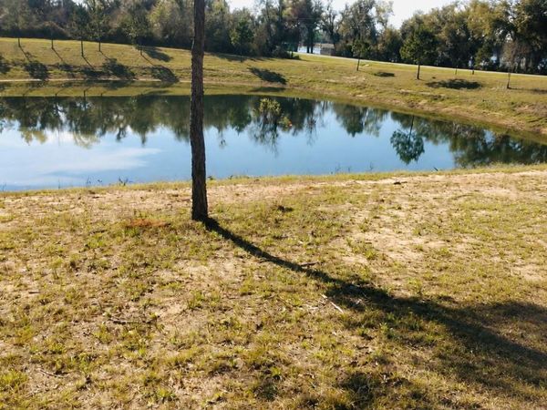00 Lovedale Road, Bascom, FL 32423
