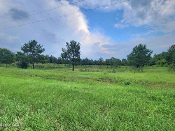 00 Lovedale Road, Bascom, FL 32423