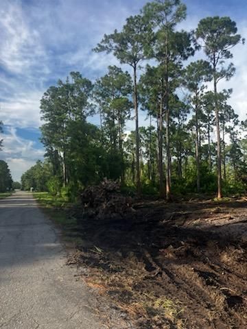 2018 Canton Avenue, Alva, FL 33920 Photo