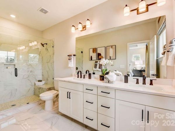 520 Annie Lowery Way, Davidson, NC 28036