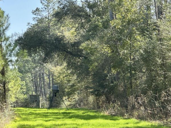 Tract#6416 S Douglas Ferry Road, Caryville, FL 32427