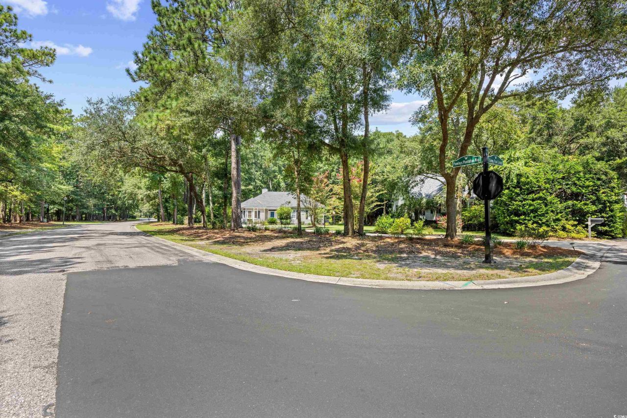 16 Gray Fox Loop Photo 36