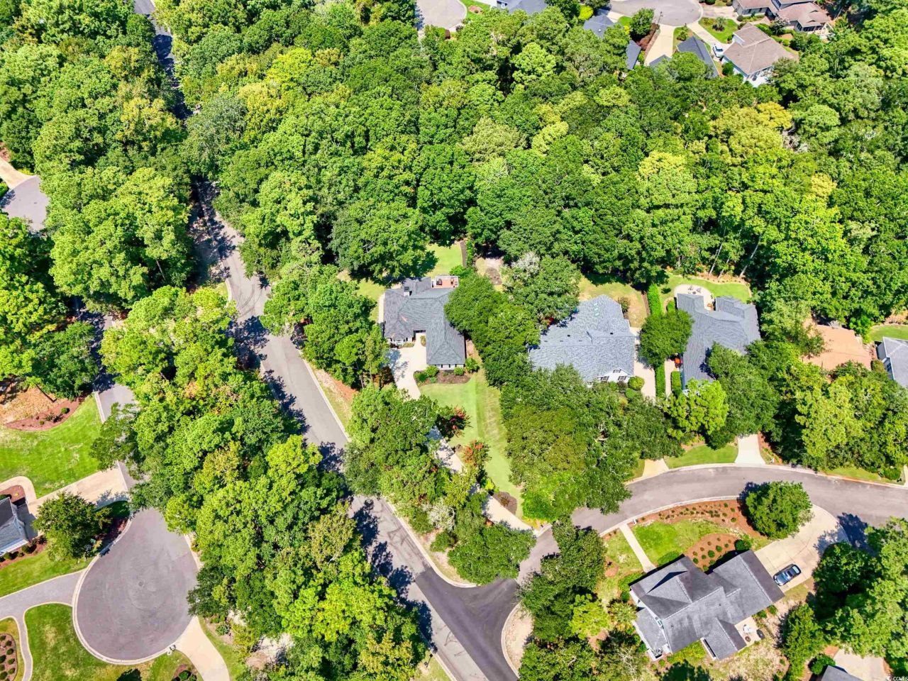 16 Gray Fox Loop Photo 37