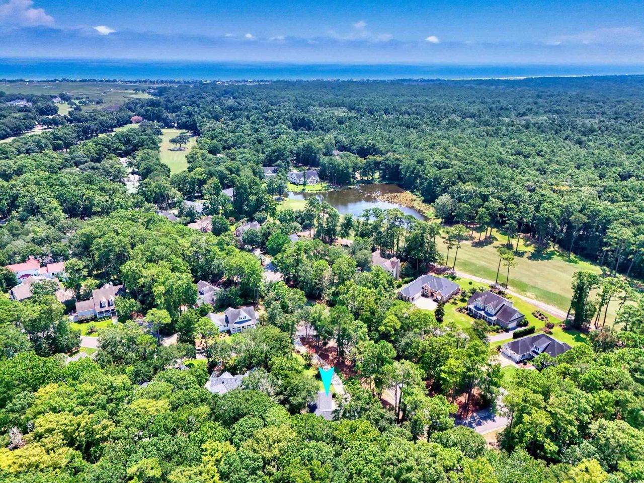 16 Gray Fox Loop Photo 39