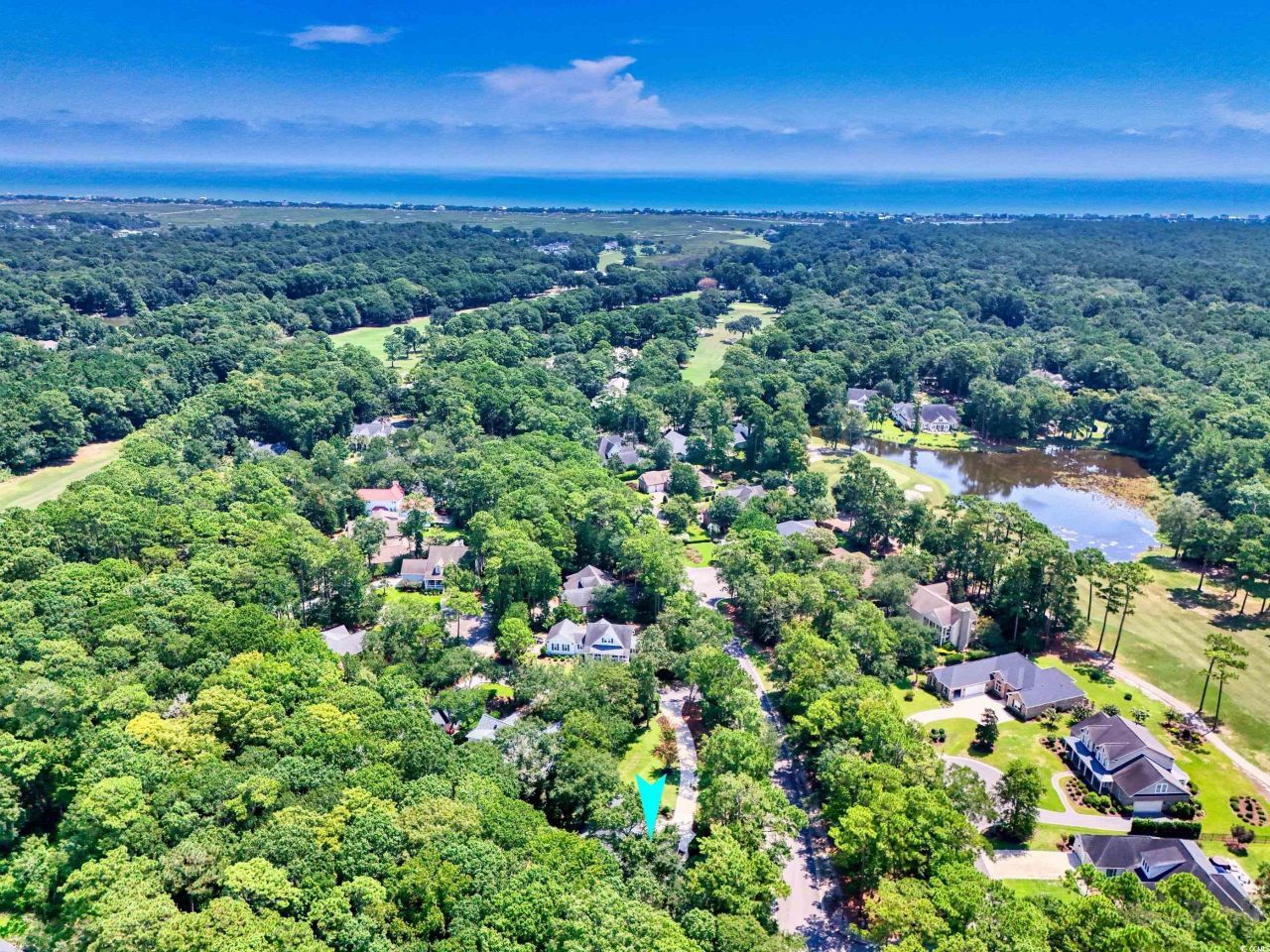 16 Gray Fox Loop Photo 40