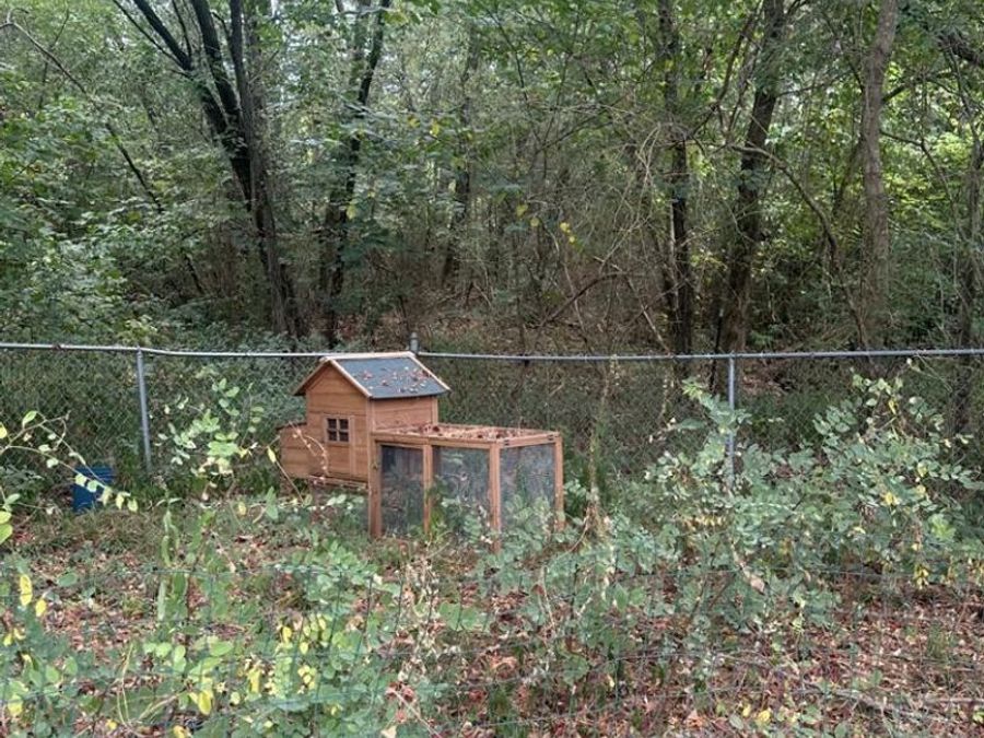 Property Image 15