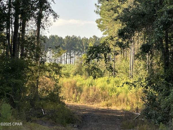 Tract#6201 Doyle Morgan Road, Defuniak Springs, FL 32433