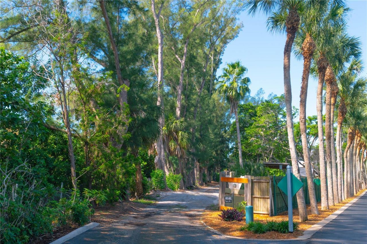 4603 Osprey Drive S, Saint Petersburg, FL 33711 Photo