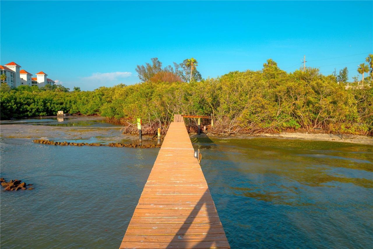 4603 Osprey Drive S, Saint Petersburg, FL 33711 Photo