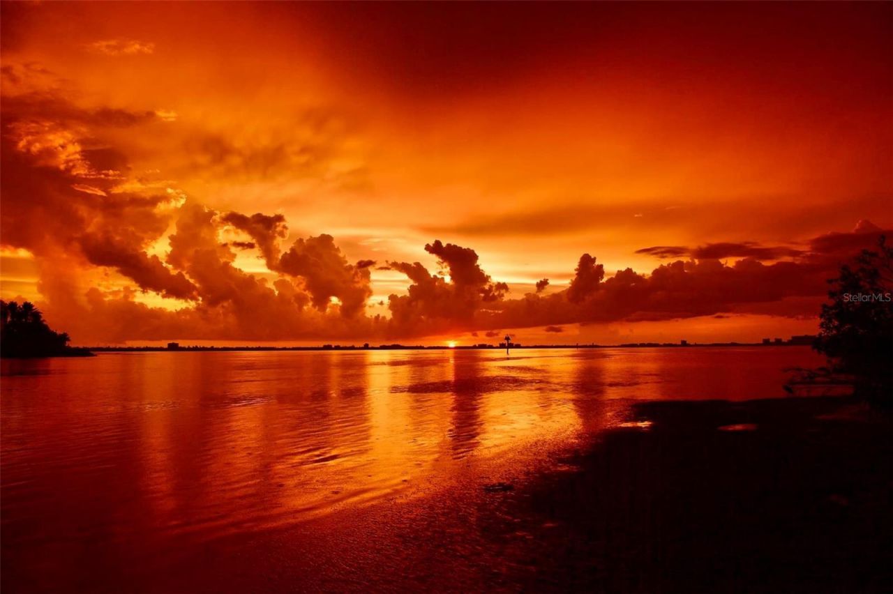 4603 Osprey Drive S, Saint Petersburg, FL 33711 Photo