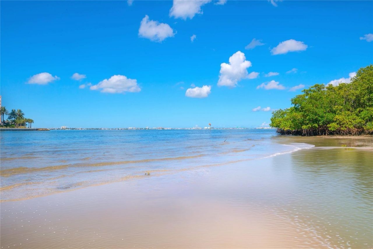 4603 Osprey Drive S, Saint Petersburg, FL 33711 Photo