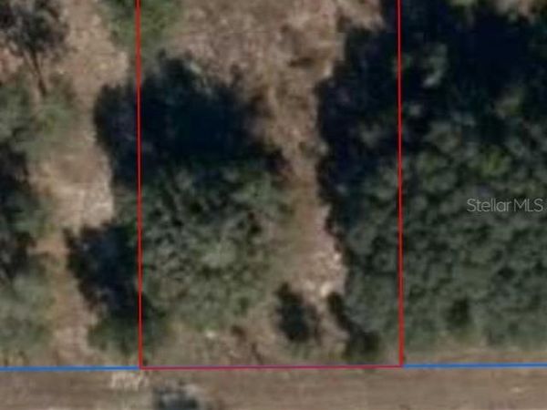 11465 NE 69TH LANE, WILLISTON, FL 32696