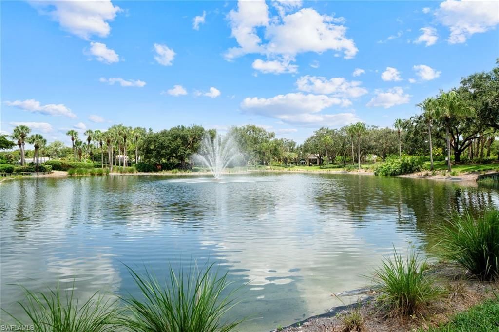 11242 Five Oaks Ln, Naples, FL 34120 Photo