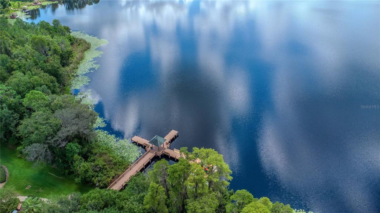 7204 Derwent Glen Circle, Land O Lakes, FL 34637 Photo