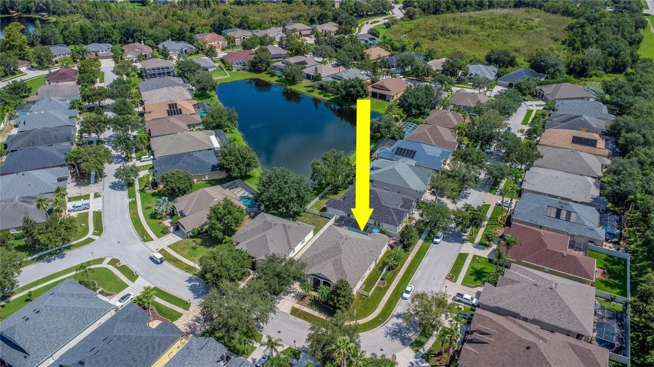 7204 Derwent Glen Circle, Land O Lakes, FL 34637 Photo