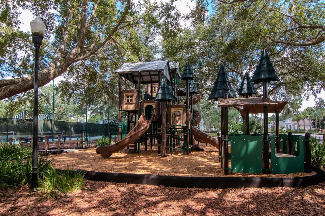 7204 Derwent Glen Circle, Land O Lakes, FL 34637 Photo