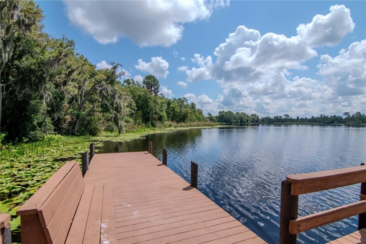 7204 Derwent Glen Circle, Land O Lakes, FL 34637 Photo