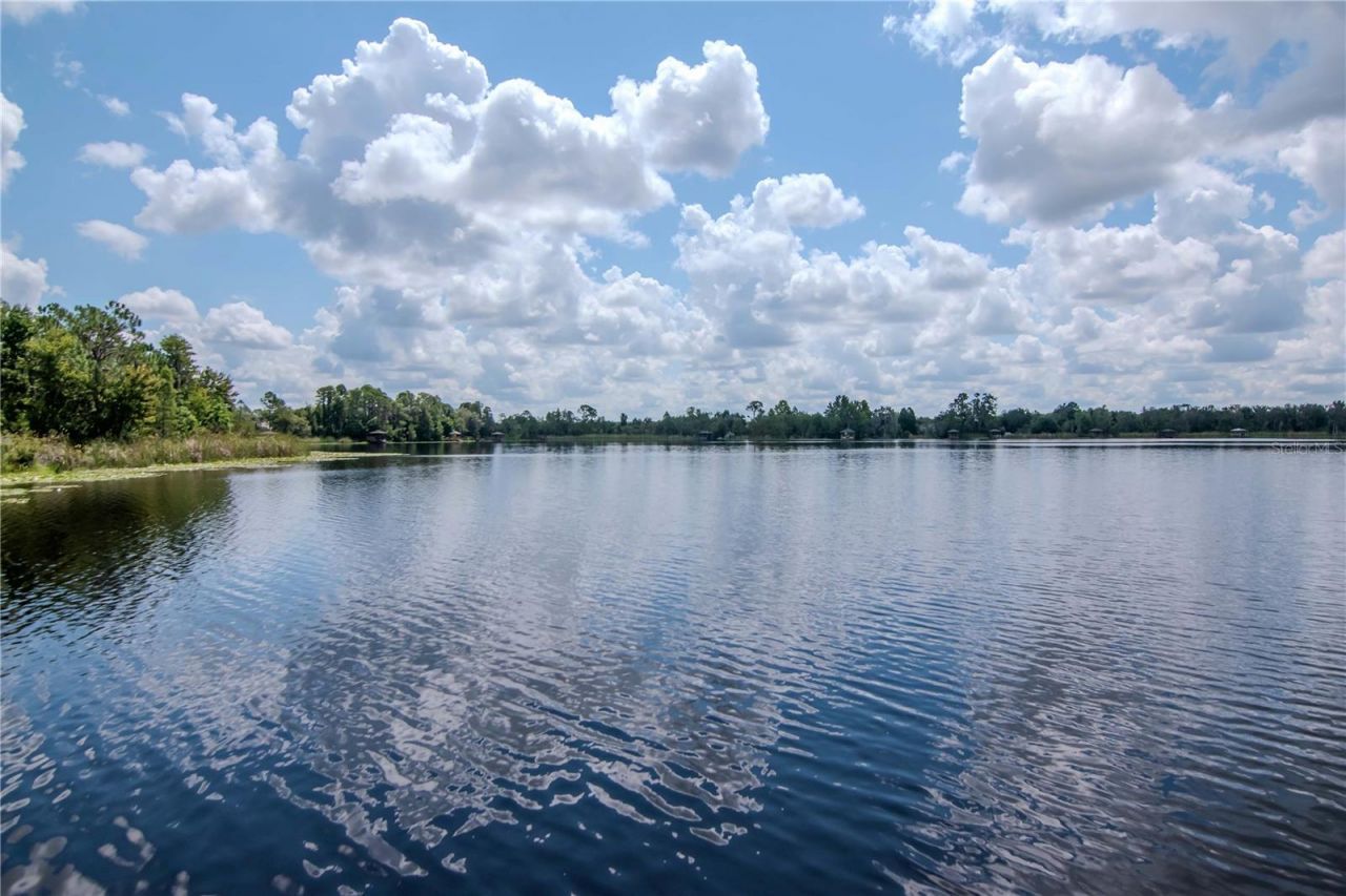 7204 Derwent Glen Circle, Land O Lakes, FL 34637 Photo