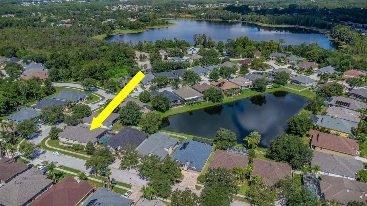 7204 Derwent Glen Circle, Land O Lakes, FL 34637 Photo