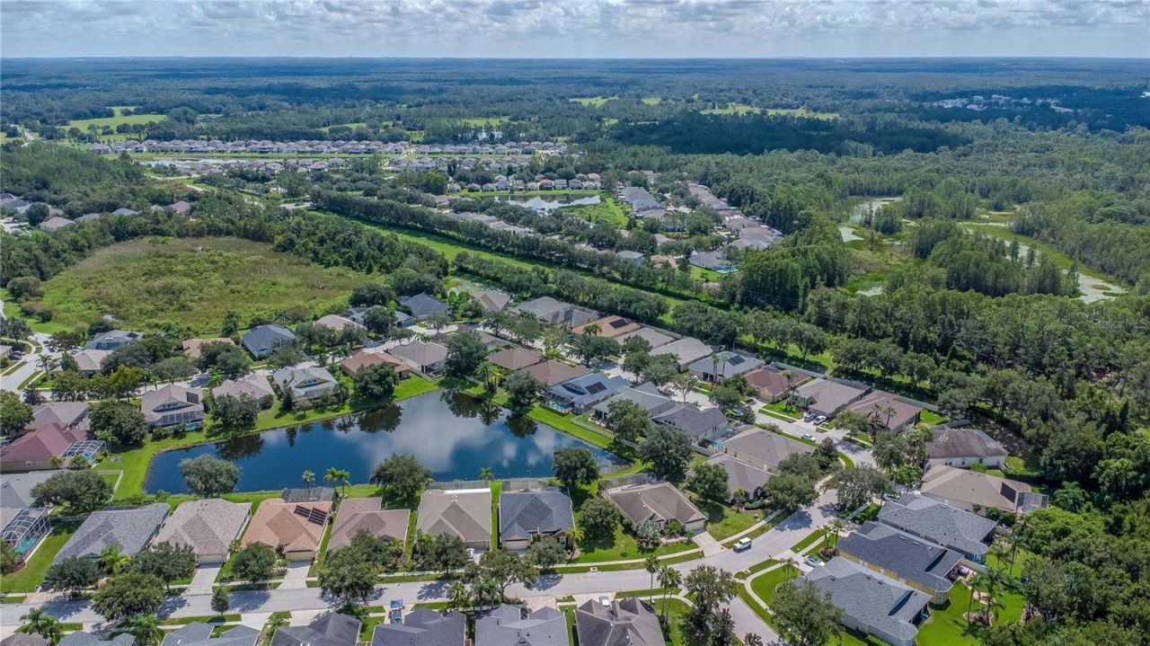 7204 Derwent Glen Circle, Land O Lakes, FL 34637 Photo