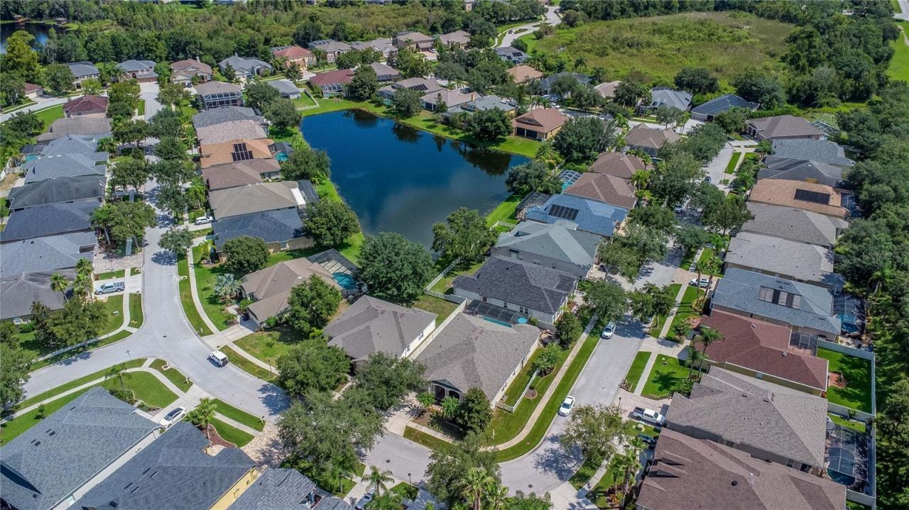 7204 Derwent Glen Circle, Land O Lakes, FL 34637 Photo