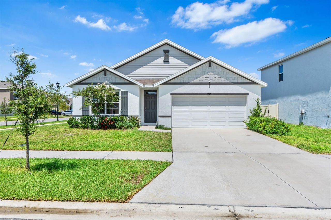 33471 Hamilton Hill Ln, Wesley Chapel, FL 33545 Photo