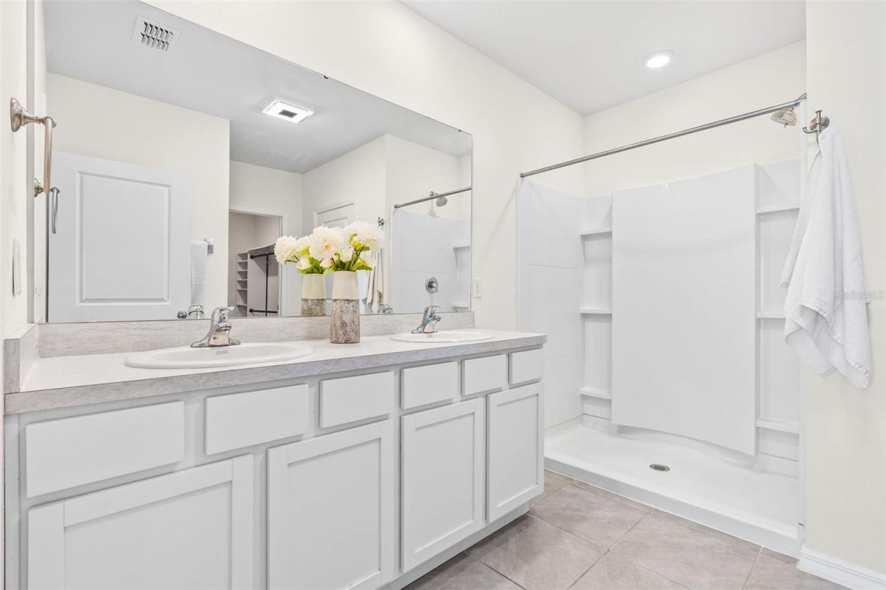 33471 Hamilton Hill Ln, Wesley Chapel, FL 33545 Photo