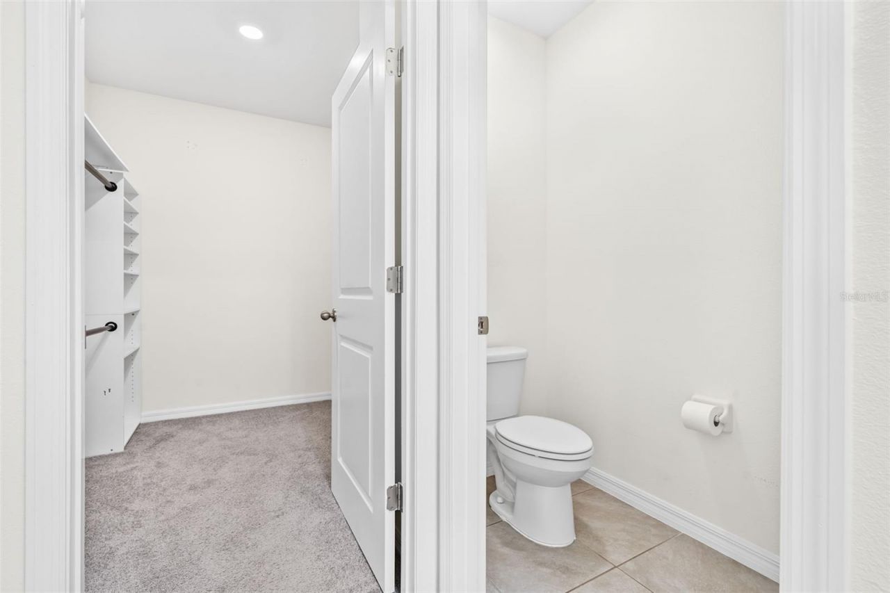 33471 Hamilton Hill Ln, Wesley Chapel, FL 33545 Photo