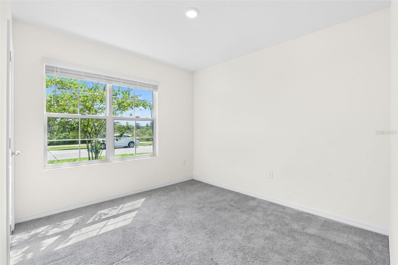 33471 Hamilton Hill Ln, Wesley Chapel, FL 33545 Photo