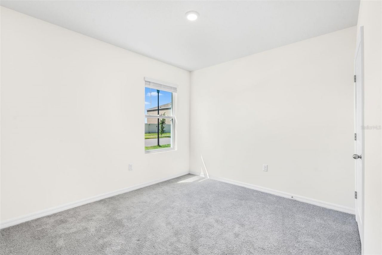 33471 Hamilton Hill Ln, Wesley Chapel, FL 33545 Photo