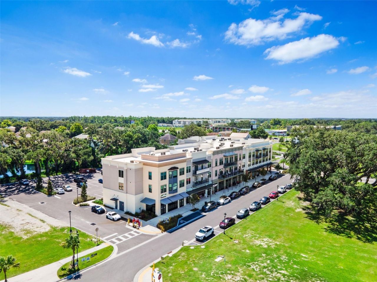 33471 Hamilton Hill Ln, Wesley Chapel, FL 33545 Photo