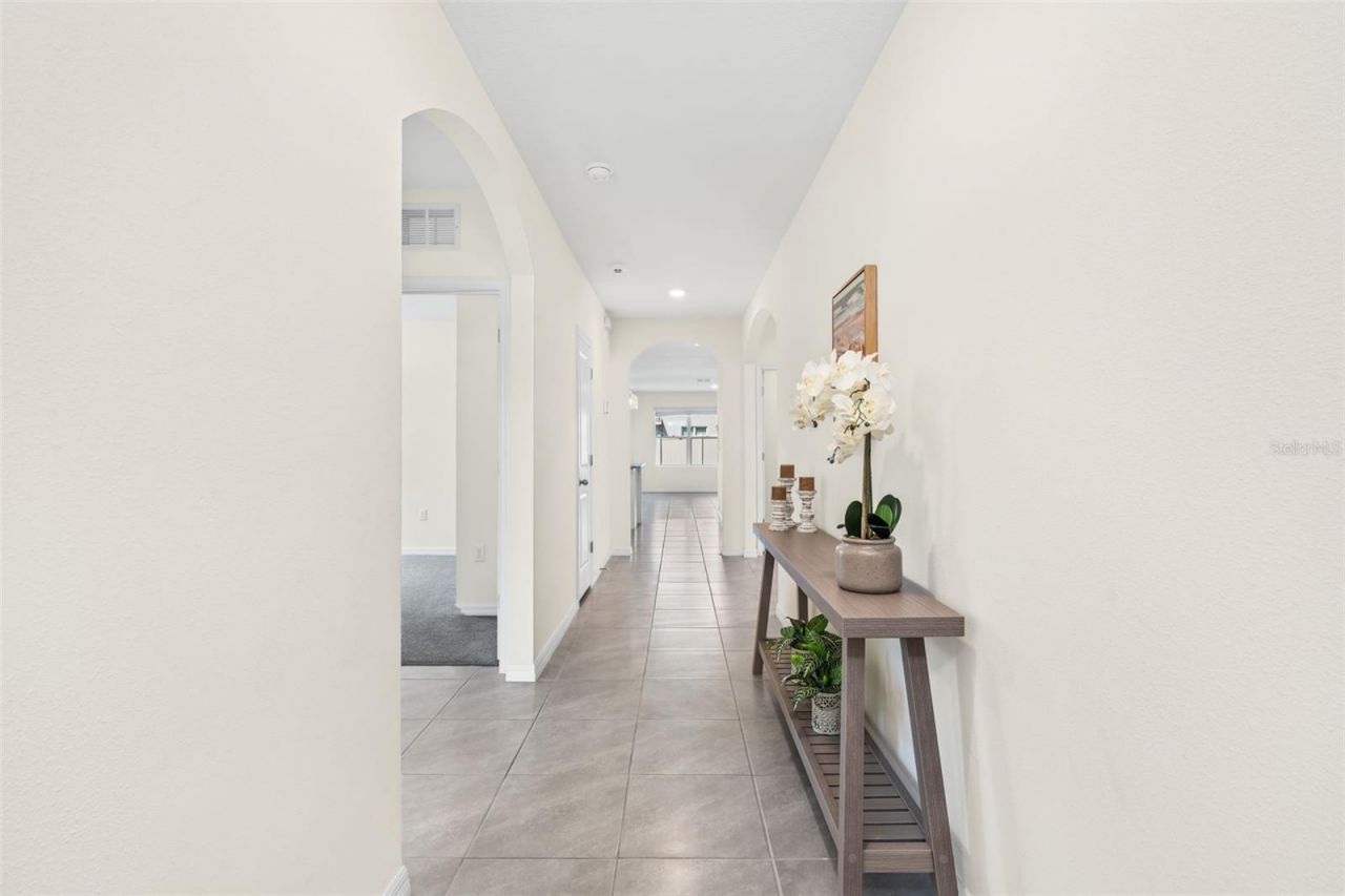 33471 Hamilton Hill Ln, Wesley Chapel, FL 33545 Photo
