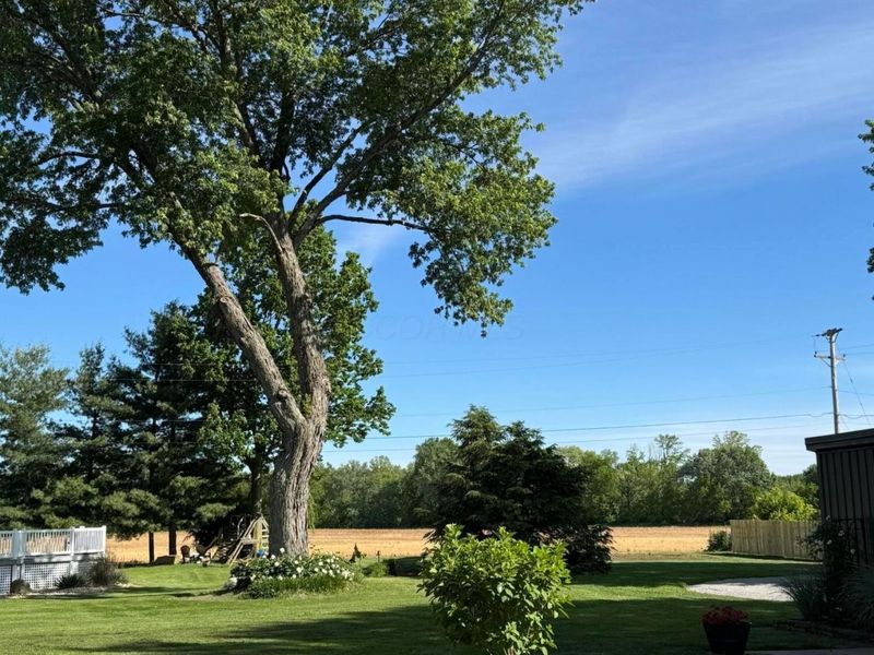 11524 US Highway 50, Chillicothe, OH 45601 Photo 31