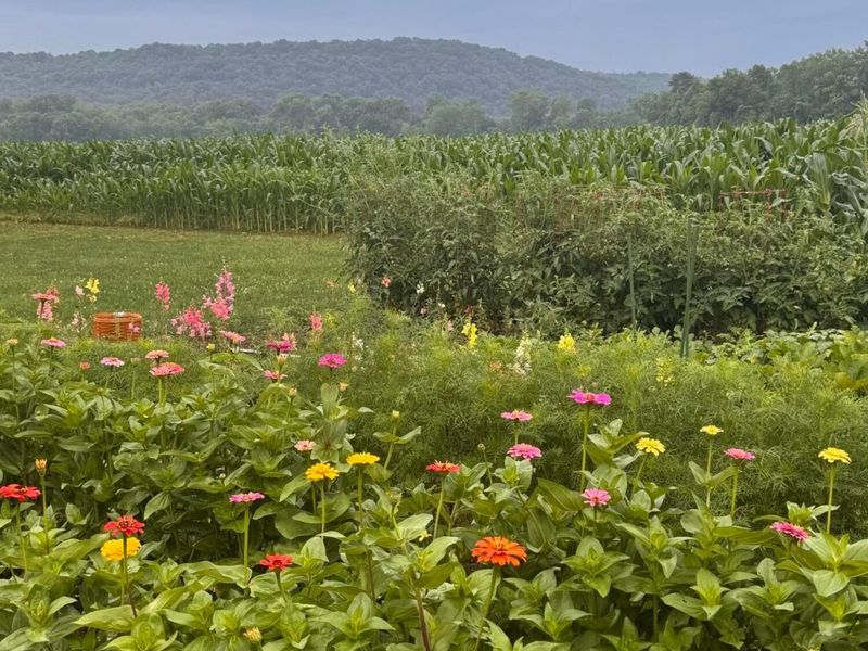 11524 US Highway 50, Chillicothe, OH 45601 Photo 33